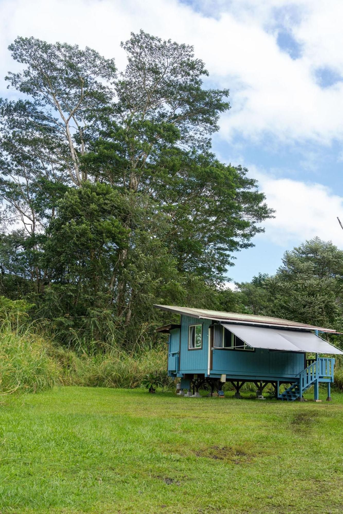 Hawaiian Sanctuary Eco Retreat Center Villa Pahoa Oda fotoğraf
