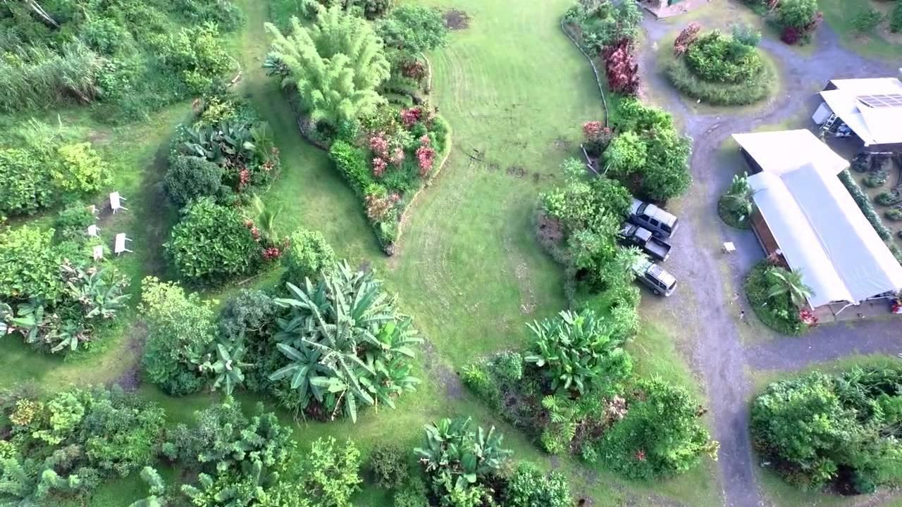Hawaiian Sanctuary Eco Retreat Center Villa Pahoa Dış mekan fotoğraf