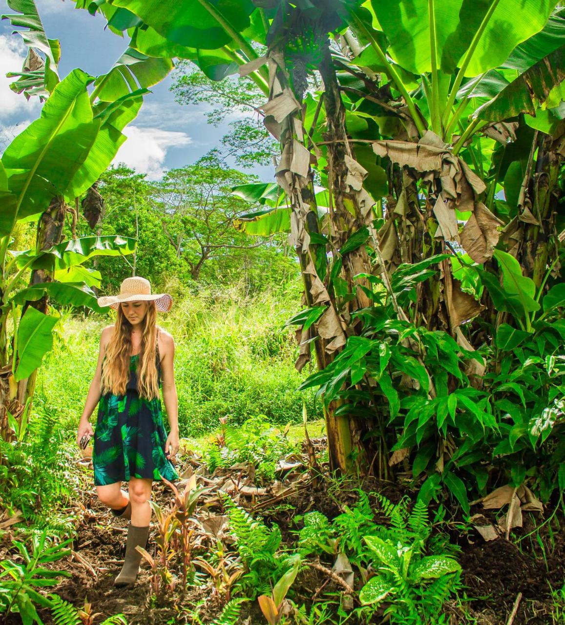 Hawaiian Sanctuary Eco Retreat Center Villa Pahoa Dış mekan fotoğraf